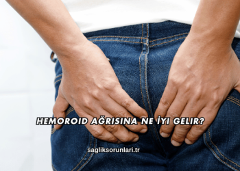 Hemoroid Ağrısına Ne İyi Gelir?