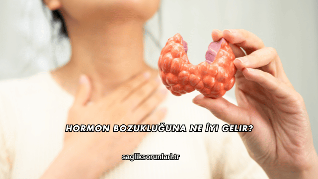 Hormon Bozukluğuna Ne İyi Gelir?