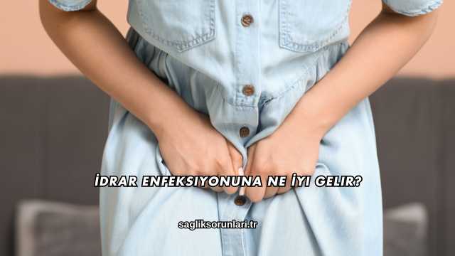 İdrar Enfeksiyonuna Ne İyi Gelir?