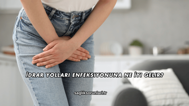 İdrar Yolları Enfeksiyonuna Ne İyi Gelir?