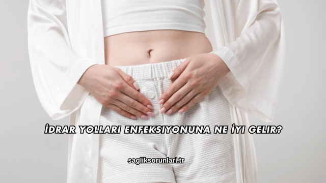 İdrar Yolları Enfeksiyonuna Ne İyi Gelir?