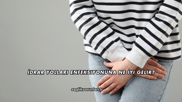 İdrar Yolları Enfeksiyonuna Ne İyi Gelir?