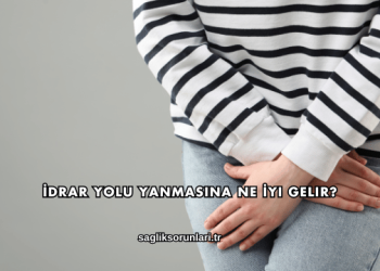 İdrar Yolu Yanmasına Ne İyi Gelir?