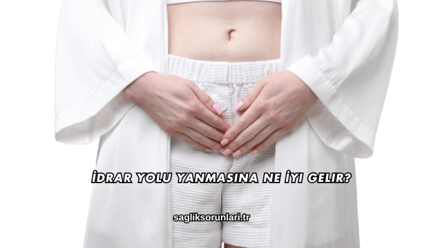 İdrar Yolu Yanmasına Ne İyi Gelir?