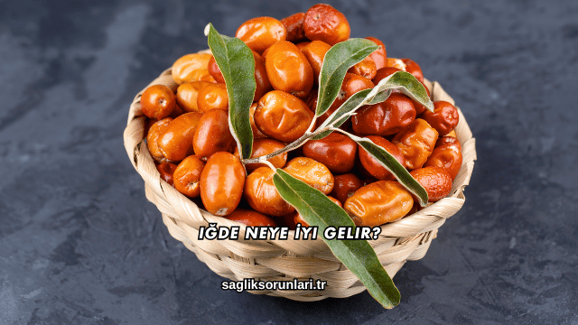 Iğde Neye İyi Gelir?