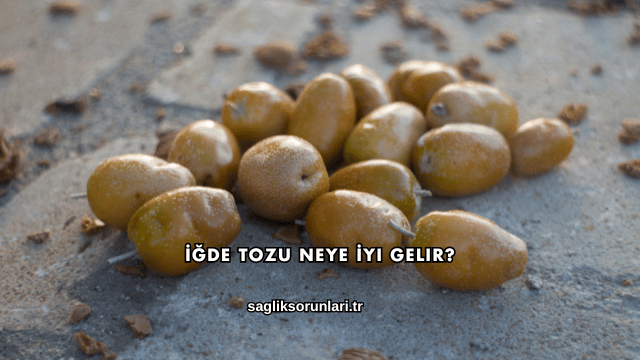 İğde Tozu Neye İyi Gelir?