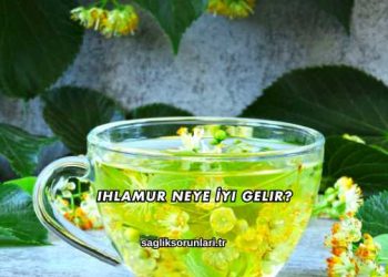 Ihlamur Neye İyi Gelir?