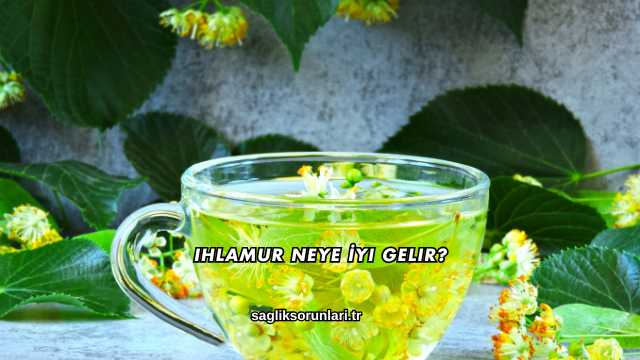 Ihlamur Neye İyi Gelir?