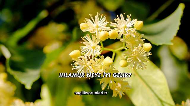 Ihlamur Neye İyi Gelir?