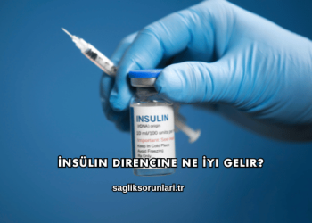İnsülin Direncine Ne İyi Gelir?