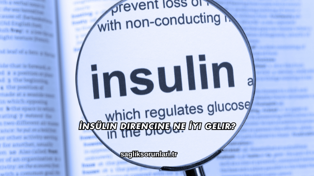 İnsülin Direncine Ne İyi Gelir?