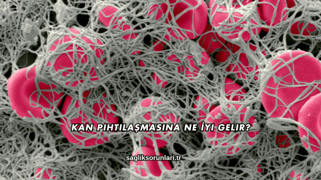 Kan Pıhtılaşmasına Ne İyi Gelir?