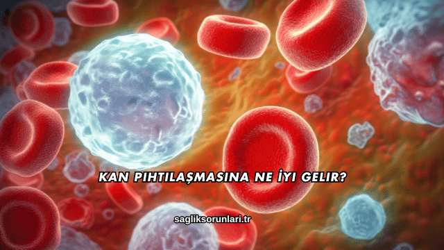 Kan Pıhtılaşmasına Ne İyi Gelir?