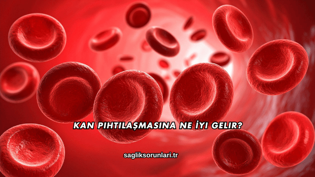 Kan Pıhtılaşmasına Ne İyi Gelir?