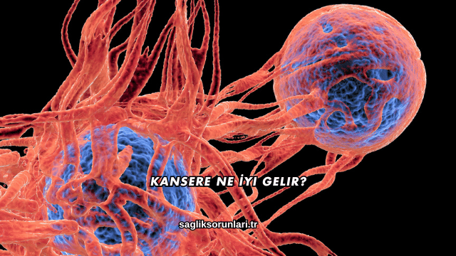 Kansere Ne İyi Gelir?