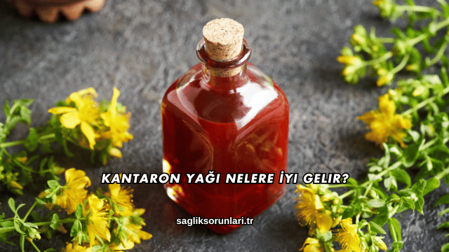 Kantaron Yağı Nelere İyi Gelir?