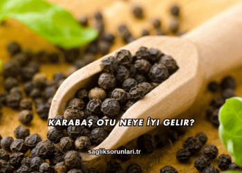 Karabaş Otu Neye İyi Gelir?