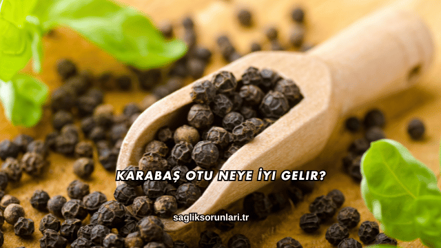 Karabaş Otu Neye İyi Gelir?