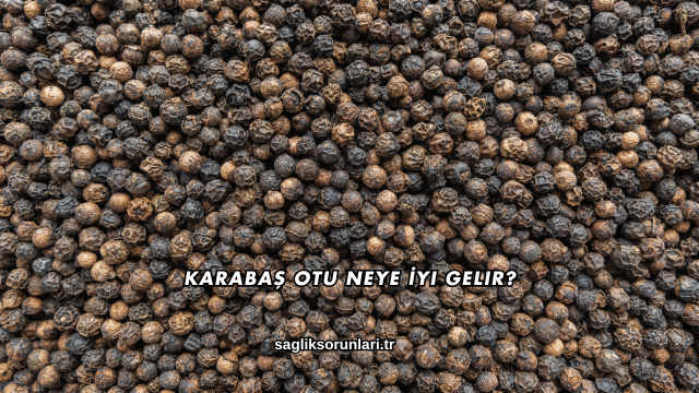 Karabaş Otu Neye İyi Gelir?