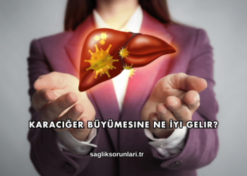Karaciğer Büyümesine Ne İyi Gelir?