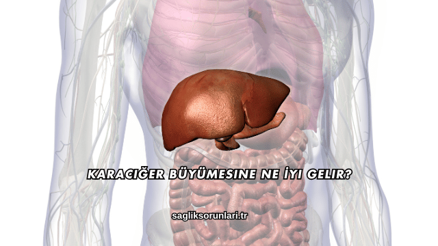Karaciğer Büyümesine Ne İyi Gelir?