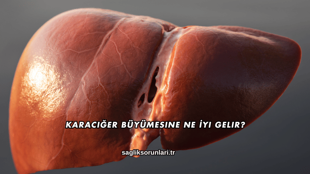 Karaciğer Büyümesine Ne İyi Gelir?