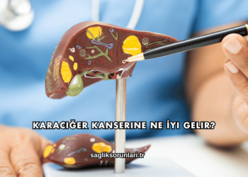 Karaciğer Kanserine Ne İyi Gelir?