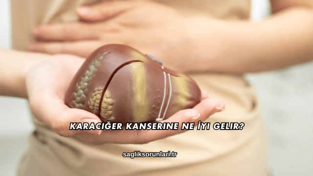 Karaciğer Kanserine Ne İyi Gelir?
