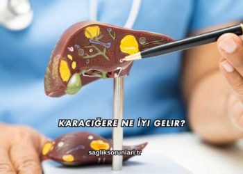 Karaciğere Ne İyi Gelir?