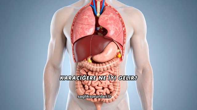 Karaciğere Ne İyi Gelir?