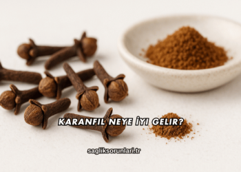 Karanfil Neye İyi Gelir?