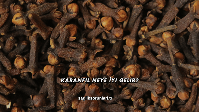 Karanfil Neye İyi Gelir?