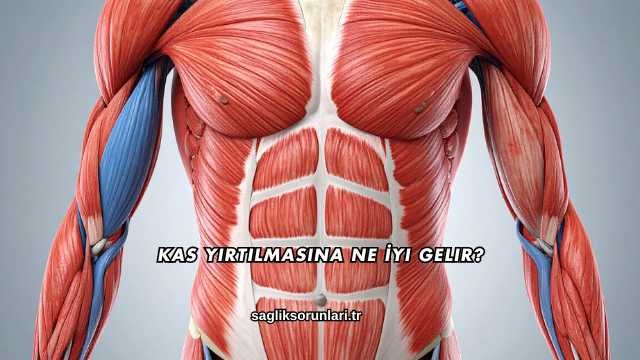 Kas Yırtılmasına Ne İyi Gelir?