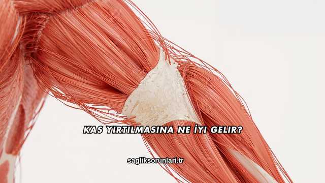 Kas Yırtılmasına Ne İyi Gelir?