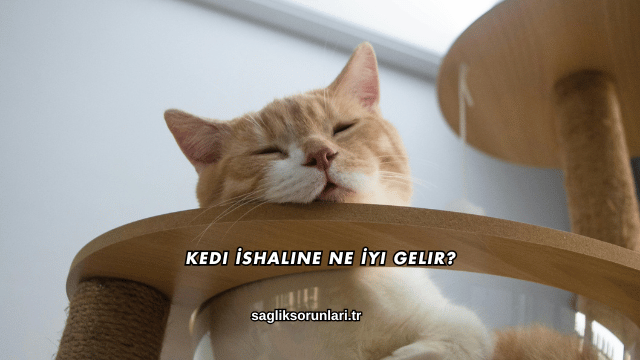 Kedi İshaline Ne İyi Gelir?