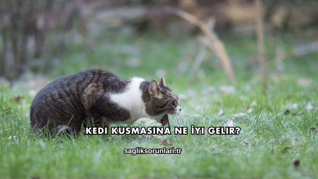 Kedi Kusmasına Ne İyi Gelir?