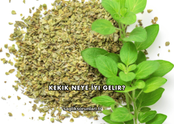 Kekik Neye İyi Gelir?