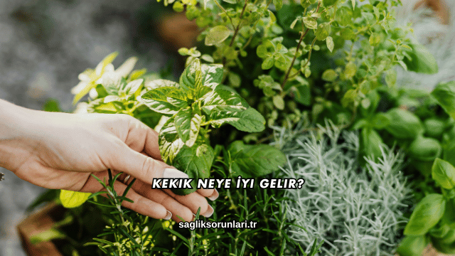 Kekik Neye İyi Gelir?