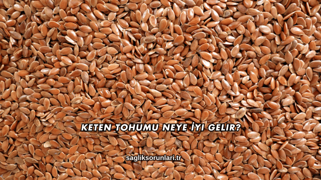 Keten Tohumu Neye İyi Gelir?