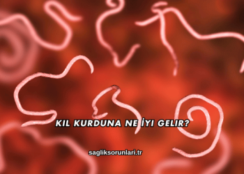 Kıl Kurduna Ne İyi Gelir?