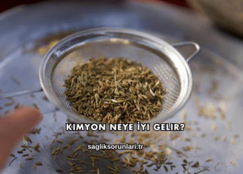 Kimyon Neye İyi Gelir?
