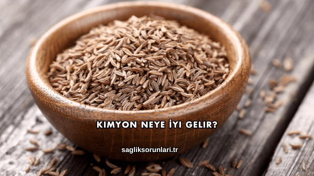 Kimyon Neye İyi Gelir?