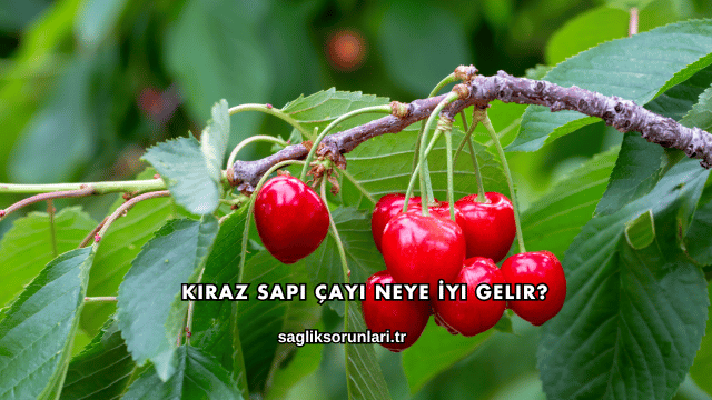 Kiraz Sapı Çayı Neye İyi Gelir?