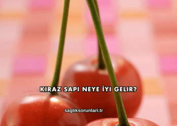 Kiraz Sapı Neye İyi Gelir?