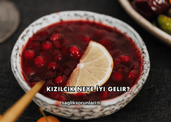 Kızılcık Neye İyi Gelir?