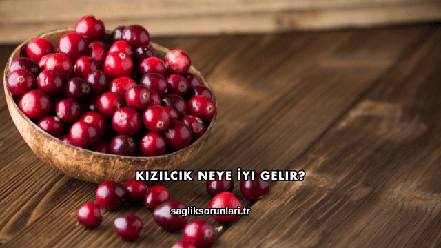 Kızılcık Neye İyi Gelir?