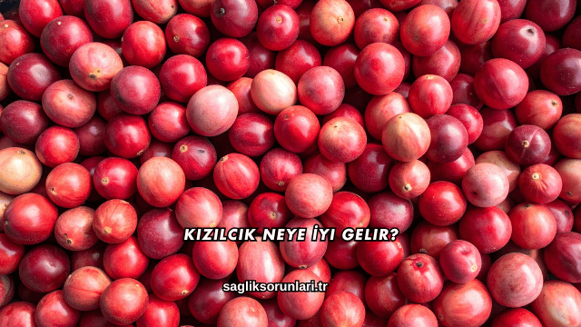 Kızılcık Neye İyi Gelir?