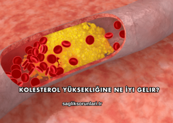 Kolesterol Yüksekliğine Ne İyi Gelir?