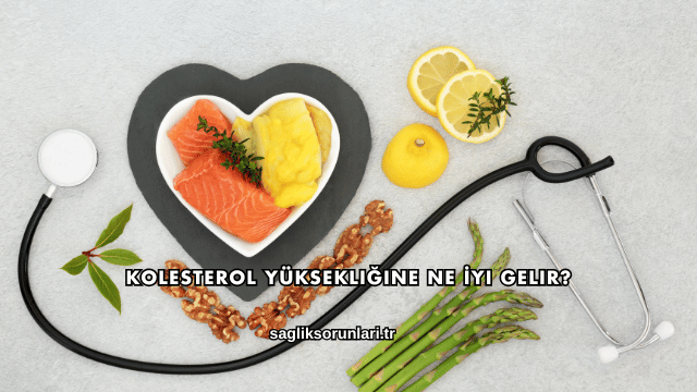 Kolesterol Yüksekliğine Ne İyi Gelir?