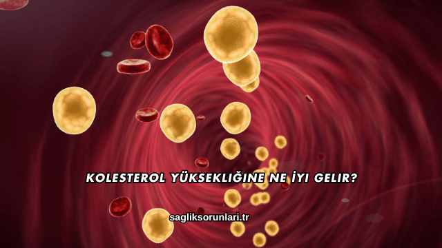 Kolesterol Yüksekliğine Ne İyi Gelir?